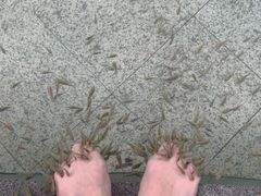 -咸宁万豪温泉谷度假区