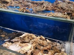 -芭菲盛宴·环球美食(锦城万达广场店)
