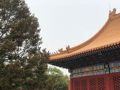 -西塔大冷面(市府大路店)