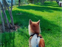 -瀛海足球主题公园