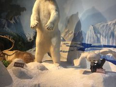 -陕西自然博物馆