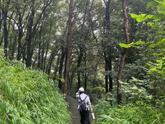 -铁山坪森林公园