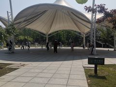 -傅家庄公园