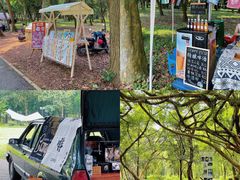 -南宁良凤江国家森林公园