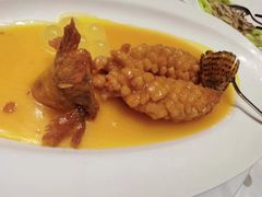 松鼠桂鱼-福1088