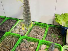 -凯华海鲜火锅·传承三十六年