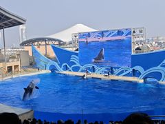 -上海海昌海洋公园