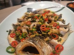-御公馆中餐厅·点心·顺德菜·佛山东平保利洲际酒店