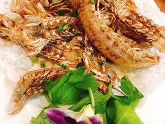-友强·23年特色海鲜大排档(厦门店)