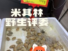 -蚝专家(北滘店)