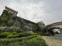-府河摄影公园