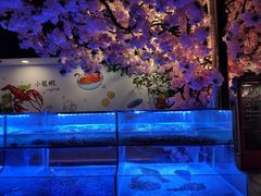 -特色酱椒鱼私房菜(黄鹤楼店)