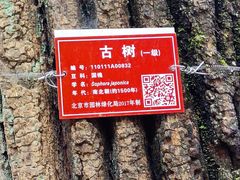 -北京上方山国家森林公园