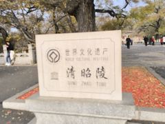 -北陵公园