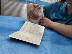 -美迦爱-牙专科·兔科·骨科诊疗中心(北苑店)