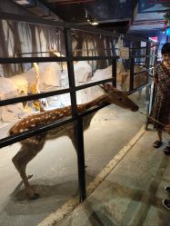 点击看大图 -酷嗒动物文化乐园(cutezoo西溪乐天城店)