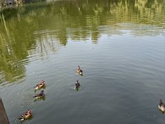 -国家植物园南园