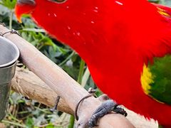 -南宫五洲植物乐园