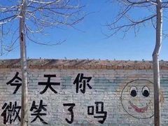 -威尔仕健身(丁香国际店)
