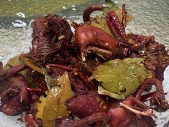 -中国吉菜名店广源宾馆餐厅