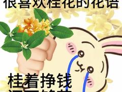 -玫瑰甜品(文明路店)