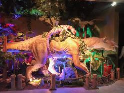 -恐龙探索乐园(磁器口店)