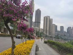 -龙头寺公园