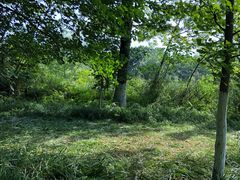 -桤木河湿地公园