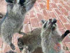 -水上乐园·欢乐世界