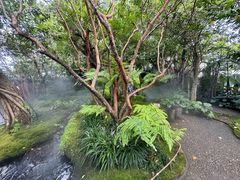 -Chom Cafe and Restaurant