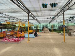 -南宫五洲植物乐园