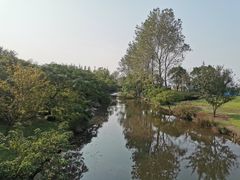 -上海滨江森林公园