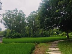 -北坞公园