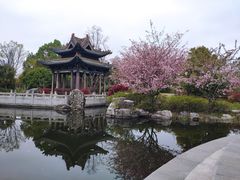 -武汉园博园(武汉自然博物馆)