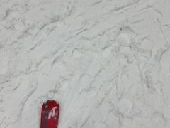 -哈尔滨热雪奇迹