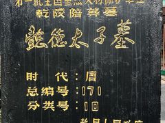 -懿德太子墓博物馆