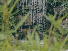 -广州神农草堂中医药博物馆