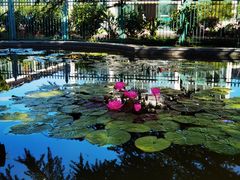 -国家植物园南园