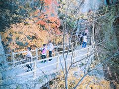 -嵩山少林文化旅游景区