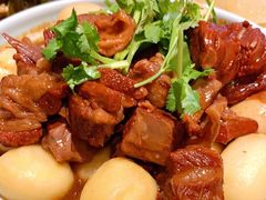 土豆炖牛腩-禾珍珠家常小馆(河南博物院店)