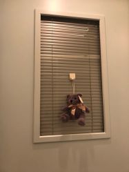 -杭州贝瑞斯美华妇儿医院·早孕·产检·儿科