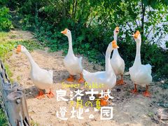 -良渚古城遗址公园