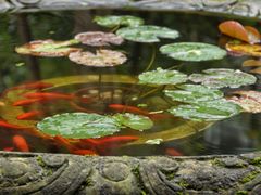 -亦缘居私家别院