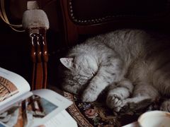 -不舍昼夜咖啡馆