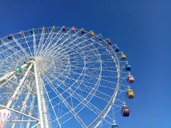 -琴岛之星摩天轮