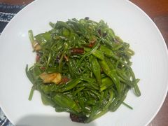 炝炒海菜-一品滇香·云南菜(公益西桥店)