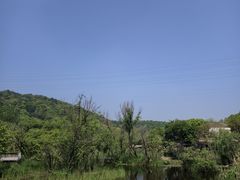 -西湖风景区-江洋畈生态公园