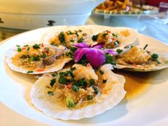 蒜茸粉丝蒸扇贝-鑫巴蜀(和平里店)