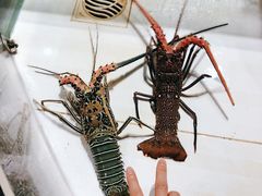 -海盗餐厅