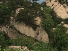 -六里坪国家森林公园